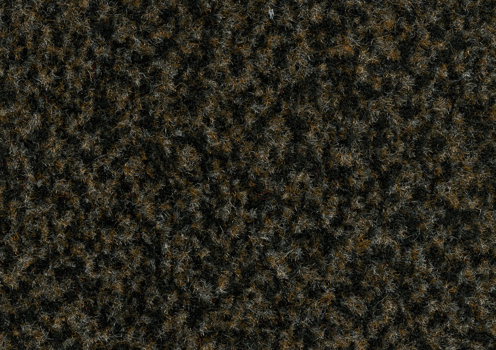 Miniaturebillede 1